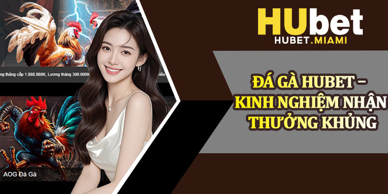 Đá Gà Hubet – Kinh Nghiệm Nhận Thưởng Khủng