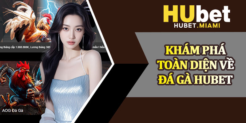 Khám Phá Toàn Diện Về Đá Gà Hubet