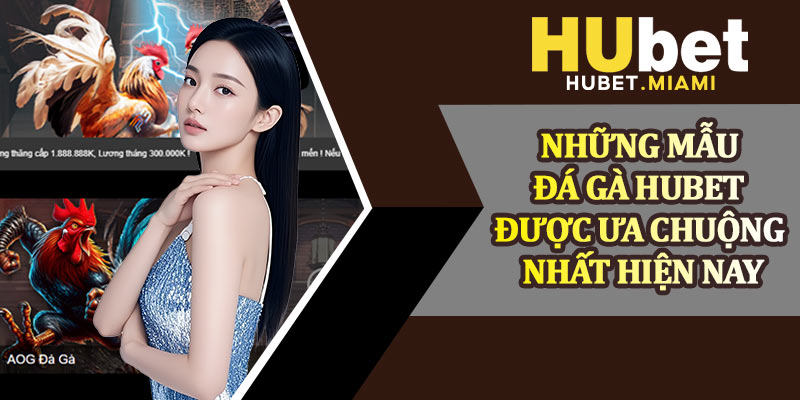 Những Mẫu Đá Gà Hubet Được Ưa Chuộng Nhất Hiện Nay