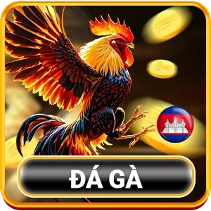 đá gà hubet